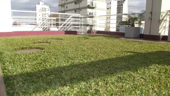 Los techos verdes son útiles debido al calor de Yucatán