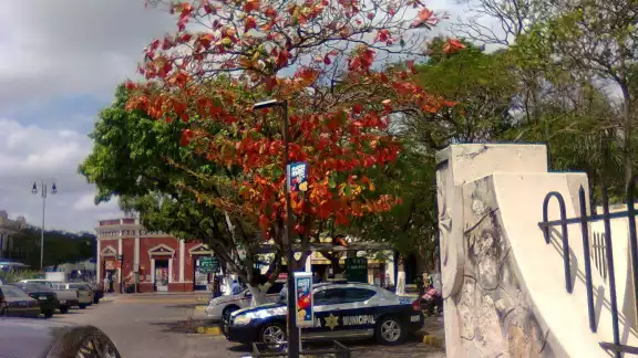 FOTO: Especial
