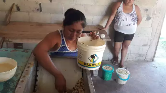 Aseguran que actualmente, este producto se expende en la tienda Diconsa a 330 pesos