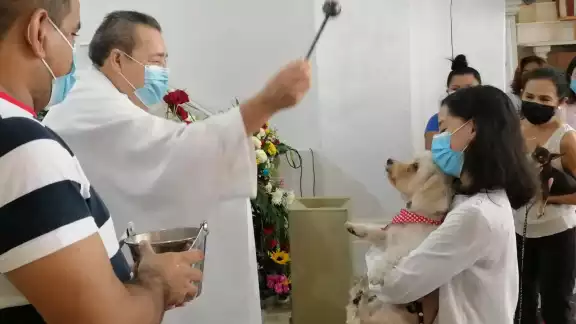 Los feligreses que acudieron al santuario Mariano entienden que las mascotas jamás suplirán el cariño y afecto de un familiar Los feligreses que acudieron al santuario Mariano entienden que las mascotas jamás suplirán el cariño y afecto de un familiar