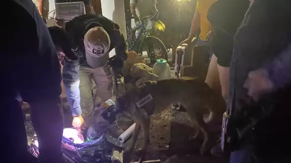 Una fiesta donde se iba a partir una rosca cannabica fue clausurada por la SSP en Mérida Una fiesta donde se iba a partir una rosca cannabica fue clausurada por la SSP en Mérida
