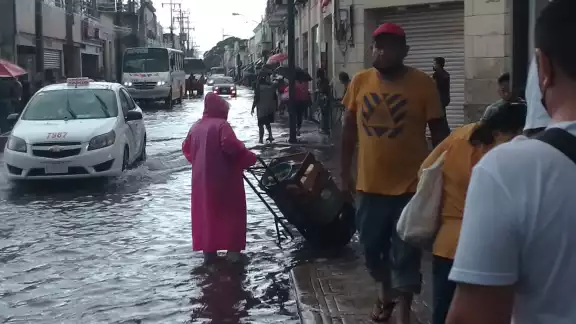 Las lluvias han causado un rebrote de casos de dengue en Mérida
