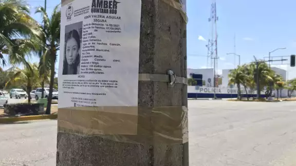 En el 2019 fue el año en que se reportaron más desapariciones En el 2019 fue el año en que se reportaron más desapariciones