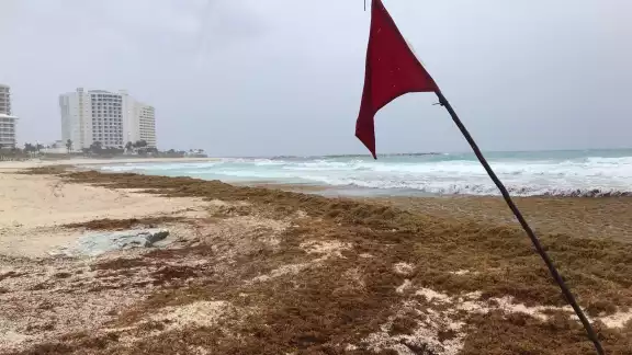 Usuarios en redes se burlan de las playas con sargazo en Quintana Roo
