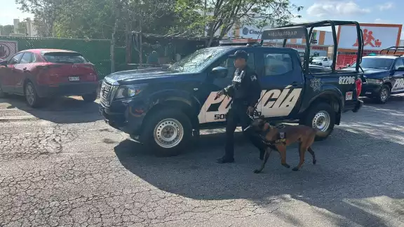 Policías de Playa del Carmen investigan si se trata de un conflicto entre narcomenudistas Policías de Playa del Carmen investigan si se trata de un conflicto entre narcomenudistas