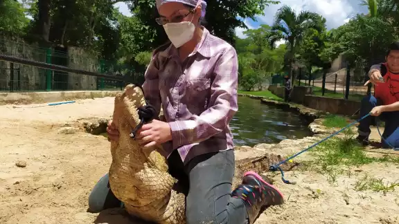La agrupación COMAFFAS A.C. de Chiapas avaló este taller impartido por Domínguez Laso La agrupación COMAFFAS A.C. de Chiapas avaló este taller impartido por Domínguez Laso