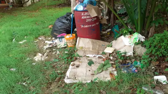 El depósito de basura ya se esta convirtiendo en nido de ratones El depósito de basura ya se esta convirtiendo en nido de ratones