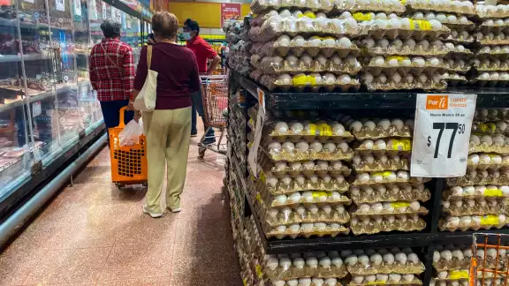 A pesar del brote AH5N1 en granjas productoras, Asociación de Avicultores garantiza abasto A pesar del brote AH5N1 en granjas productoras, Asociación de Avicultores garantiza abasto