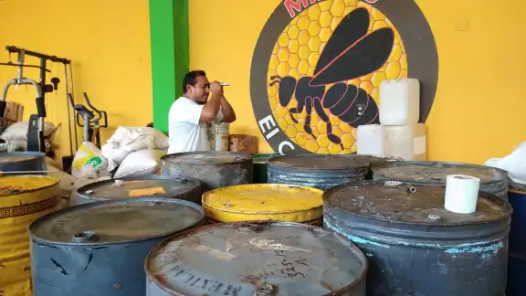 El precio de la miel actualmente ronda los 55 pesos el kilo El precio de la miel actualmente ronda los 55 pesos el kilo