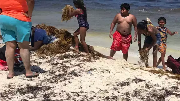 A pesar del sargazo, niños y adultos disfrutaron de la playa A pesar del sargazo, niños y adultos disfrutaron de la playa