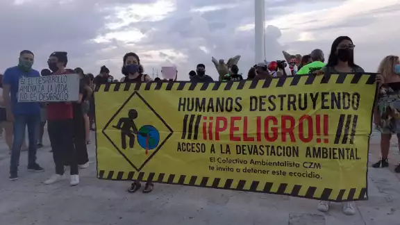 En la zona donde se pretende construir el nuevo muelle existen especies marinas protegidas por las Normas Oficiales Mexicanas En la zona donde se pretende construir el nuevo muelle existen especies marinas protegidas por las Normas Oficiales Mexicanas