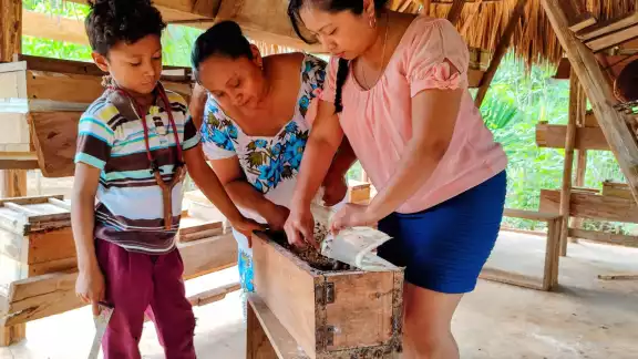 Estás abejas suelen producirse en jobones de madera Estás abejas suelen producirse en jobones de madera