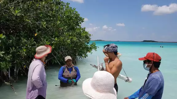 La falta de un drenaje ha hecho que la Laguna de Bacalar presente contaminación bactereológica La falta de un drenaje ha hecho que la Laguna de Bacalar presente contaminación bactereológica
