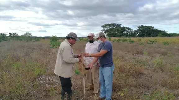 Los afectados aseguran que se infló el padrón, ya que en la comunidad hay 50 personas dedicadas a la apicultura y avalaron a 70
