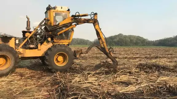La cifra en toneladas de la zafra de caña de azúcar en Quintana Roo colocó al Ingenio San Rafael de Pucté por debajo de Veracruz La cifra en toneladas de la zafra de caña de azúcar en Quintana Roo colocó al Ingenio San Rafael de Pucté por debajo de Veracruz