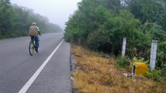 Los lugareños que pasan por el lugar señalan que en la cavidad todas las mañanas aparecen flores Los lugareños que pasan por el lugar señalan que en la cavidad todas las mañanas aparecen flores