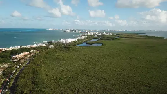 Yucatán es el que más tierras afectadas suma; Campeche posee mayor porcentaje de áreas vírgenes