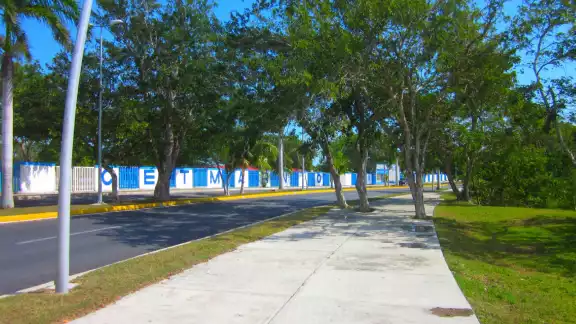 Los directivos del Cetmar en Chetumal no han dado respuesta al personal docente y administrativo en Chetumal Los directivos del Cetmar en Chetumal no han dado respuesta al personal docente y administrativo en Chetumal