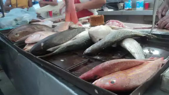 Los precios son exorbitantes pues el precio regular es hasta de 120 pesos Los precios son exorbitantes pues el precio regular es hasta de 120 pesos