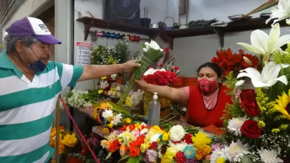 Las floristas están descapitalizadas para la compra de más plantas estos días Las floristas están descapitalizadas para la compra de más plantas estos días