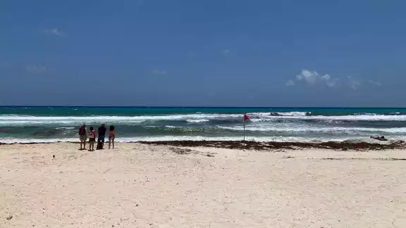 El sargazo ahuyentó a los turistas