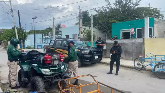 Hace menos de un año, un hombre se comió al gato de su vecina en Chicxulub Hace menos de un año, un hombre se comió al gato de su vecina en Chicxulub