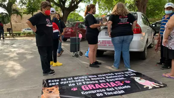 Inicia marcha por un México Libre de violencia contra los animales en Mérida Inicia marcha por un México Libre de violencia contra los animales en Mérida