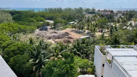 Ambientalistas se preparan para protestar contra el desarrollo del Hotel Coco Bay en Playa del Carmen Ambientalistas se preparan para protestar contra el desarrollo del Hotel Coco Bay en Playa del Carmen