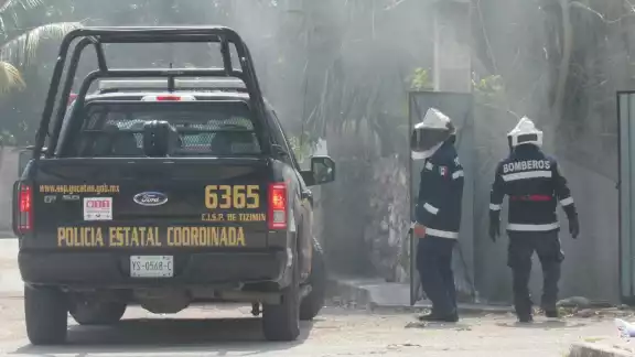 Debido al Sol y al calor los animales se alborotaron e invadieron los predios cercanos Debido al Sol y al calor los animales se alborotaron e invadieron los predios cercanos