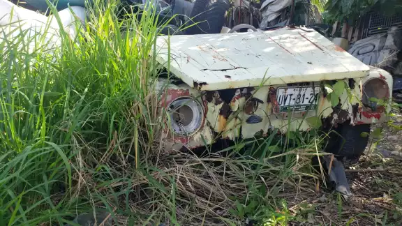 Los 'autos maceta' son la guarida de ladrones