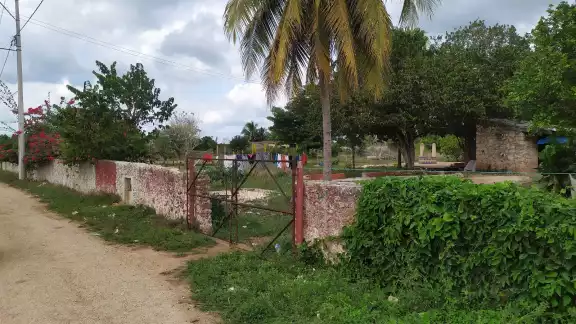 Sospechan de perros callejeros o tiguillos, pero vecinos sospechan del Huay Chivo