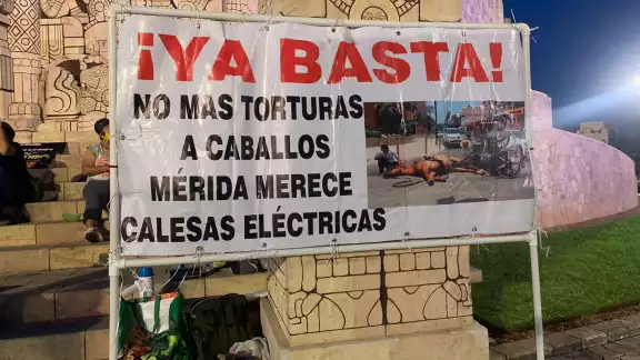 Entre pancartas, las activistas se reunieron en el Monumento a la Patria Entre pancartas, las activistas se reunieron en el Monumento a la Patria