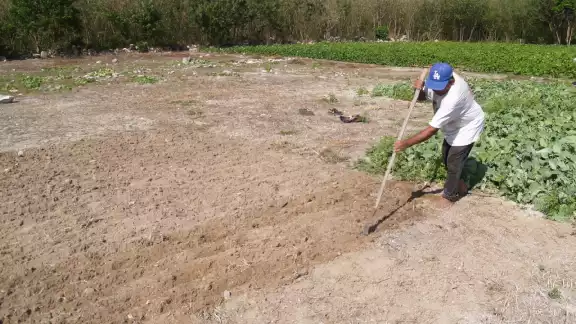 La protección de los aluxes es un legado maya, consideran los agricultores locales.