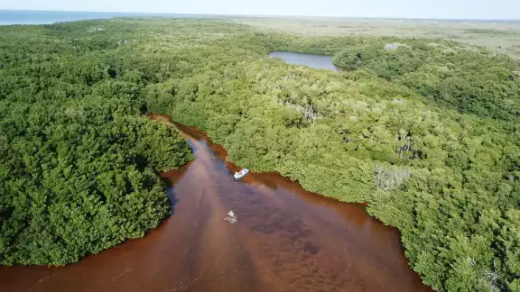 Campeche cuenta con 3.3 millones de hectáreas de selva, informó la Conanp, una de las más grandes de la región peninsular Campeche cuenta con 3.3 millones de hectáreas de selva, informó la Conanp, una de las más grandes de la región peninsular