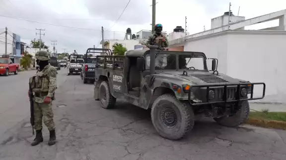 Se presume que el cultivo lo realiza un grupo criminal que opera en esa zona de Cancún Se presume que el cultivo lo realiza un grupo criminal que opera en esa zona de Cancún