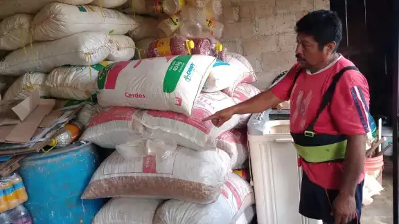 La sequía afectó al 40 por ciento de las 25 hectáreas sembradas de cacahuate en Campeche La sequía afectó al 40 por ciento de las 25 hectáreas sembradas de cacahuate en Campeche