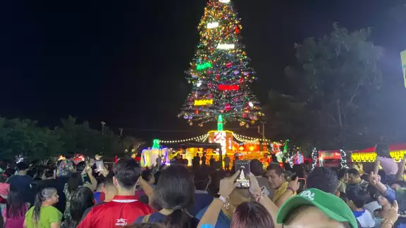 Encendido de árbol en Yucatán Encendido de árbol en Yucatán