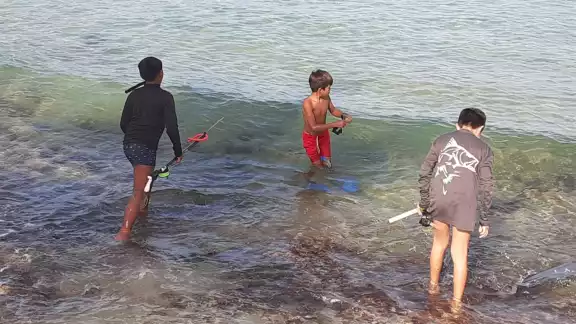 La pesca con Arpón es una actividad prohibida desde hace muchos años por las Normas Oficiales Mexicanas La pesca con Arpón es una actividad prohibida desde hace muchos años por las Normas Oficiales Mexicanas
