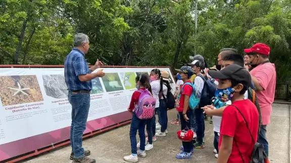 Pretenden promover la participación de la población en general, especialmente de los jóvenes