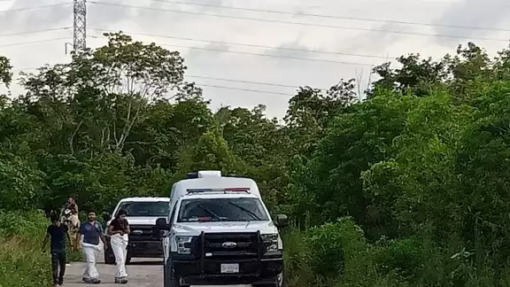 El cuerpo en descomposición de una persona hallada en un camino de la colonia Santa Cecilia de Cancún, fue llevado a la morgue en la ciudad El cuerpo en descomposición de una persona hallada en un camino de la colonia Santa Cecilia de Cancún, fue llevado a la morgue en la ciudad