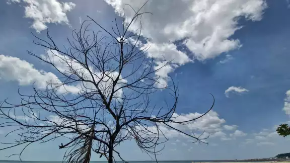 Onda tropical 16 traerá lluvias y calor extremo a la Península de Yucatán Onda tropical 16 traerá lluvias y calor extremo a la Península de Yucatán