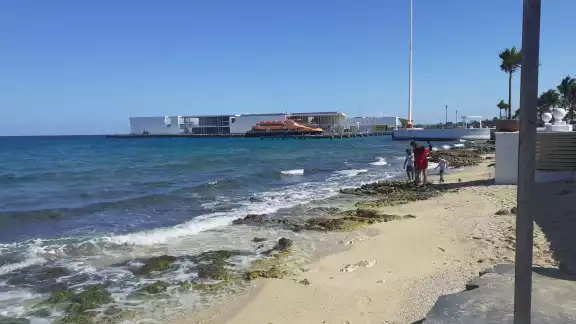 Cozumel se ha visto afectado con la llegada de sargazo a sus playas, lo que en algunas zonas se dificulta que los bañistas disfruten del mar Cozumel se ha visto afectado con la llegada de sargazo a sus playas, lo que en algunas zonas se dificulta que los bañistas disfruten del mar