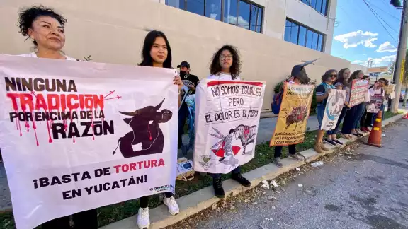 Activistas antitaurinos se manifiestan a las afueras de la Plaza de Toros de Mérida Activistas antitaurinos se manifiestan a las afueras de la Plaza de Toros de Mérida