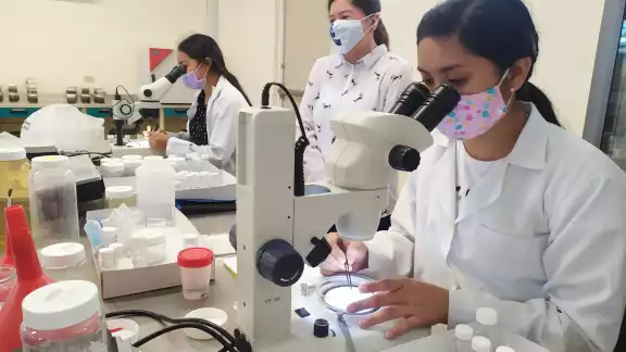 Día Internacional de la Mujer y la Niña en la Ciencia