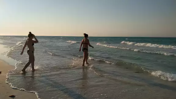 Cancunito es considerada como una playa virgen que cobija infinidad de fauna y vegetación Cancunito es considerada como una playa virgen que cobija infinidad de fauna y vegetación