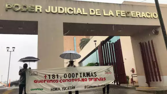 Entregarán las firmas en el Poder Judicial de la Federación