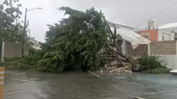 Serán cincoi municipios de Quintana Roo los que se verán afectados por los vientos y lluvias del Huracán Ian Serán cincoi municipios de Quintana Roo los que se verán afectados por los vientos y lluvias del Huracán Ian