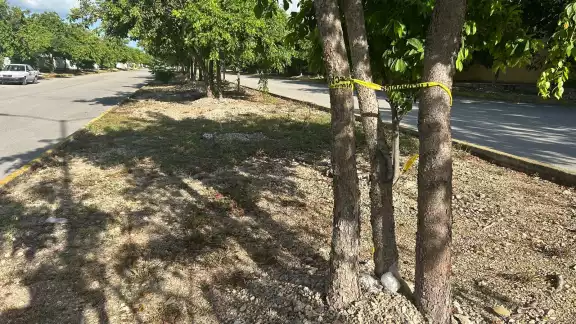 Autoridades acordonaron el área para proceder con el levantamiento del cuerpo Autoridades acordonaron el área para proceder con el levantamiento del cuerpo