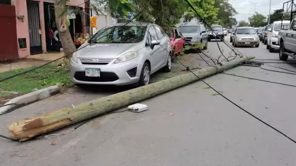 La altura permitida de un tráiler es máximo cuatro metros y medio