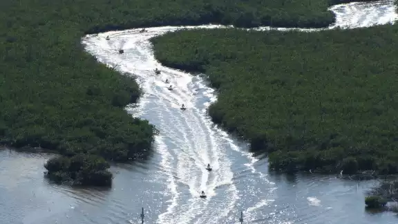 Los elementos que llevan a una mala calificación de Oceana México son el uso ilegal del suelo, la pesca ilícita, entre otros Los elementos que llevan a una mala calificación de Oceana México son el uso ilegal del suelo, la pesca ilícita, entre otros